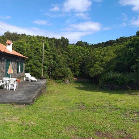 Azores Hibiscus House - Mountain And Sea São Roque do Pico Dış mekan fotoğraf